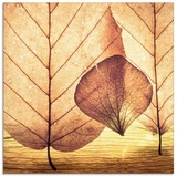 Artland Glasbild »Losgelöst«, Blätter, (1 St.), braun