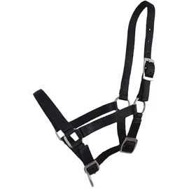QHP Fohlen-Halfter 04 babyblau