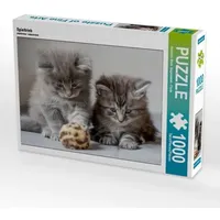 Calvendo Spieltrieb (Puzzle)