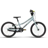 PUKY LS-PRO 18-1 (2023) 18" ash blue