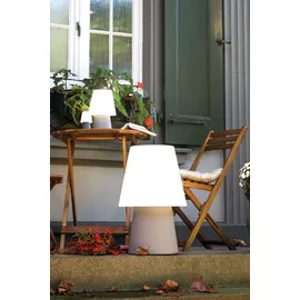 8 seasons DESIGN (32529S)