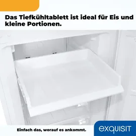 Exquisit KGC250-85-NF-040D Kühl-Gefrierkombination (247 l, 180,5 mm hoch, Weiß)