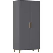 Rauch Drehtürenschrank SHINJO 93 x 203 x 53 cm Grau