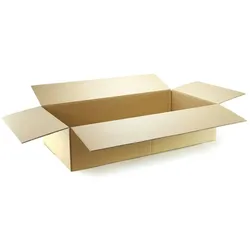 PROREGAL 5x Versandkarton 2-wellig | LxBxH 1200 x 600 x 310 mm | Belastbar bis 30 kg | Faltkarton Karton Paket für Versand mit DHL