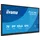 Iiyama ProLite TE7513A-B3AG 75"