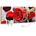 Red Roses 800 W