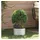 vidaXL Pflanzenring Silber 30 x 30 x 20 cm