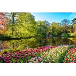 Fototapete PAPERMOON "GARTEN-BLUMEN BÄUME PFLANZEN STEINE WALD PARK BLÜTEN", bunt, B:3,50m L:2,60m, Vlies, Tapeten
