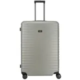 Titan Litron Frame 4W Trolley L Champagner