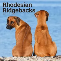 BrownTrout / Flechsig Rhodesian Ridgebacks - Rhodesian Ridgeback 2026