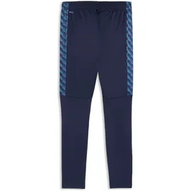 Puma teamLIGA26 Training Pants XL