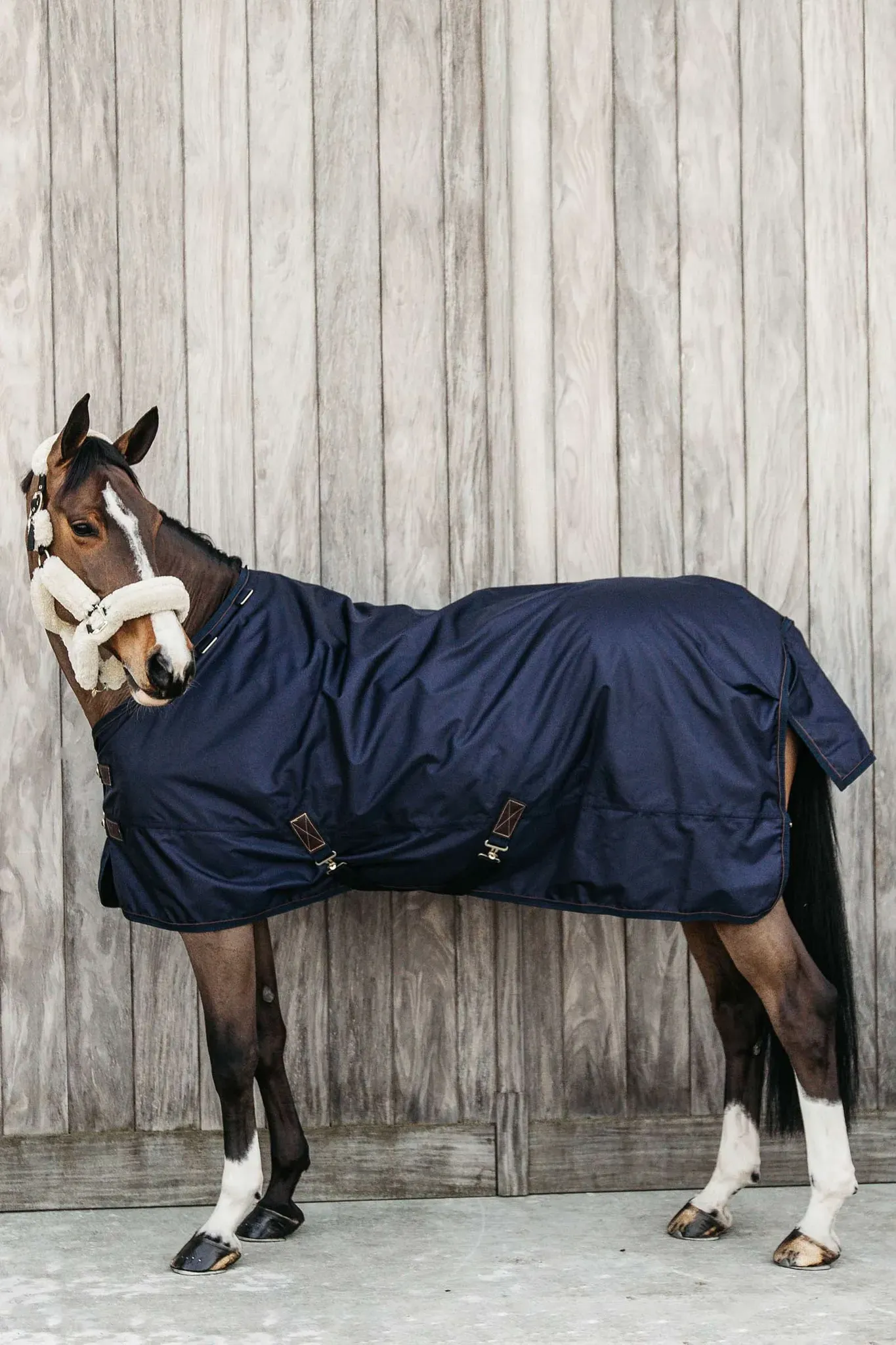 Kentucky Horsewear All Weather Weidedecke, 160g