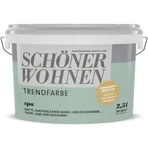 Schöner Wohnen Trendfarbe 2,5 l spa matt