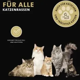 Peticare Anti-Parasiten Katzen-Shampoo gegen Milben Flöhe Pilz, lindert Juckreiz