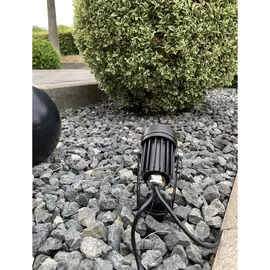 Die BOLD LED-Solar-Erdspießstrahler LED/1W 2er Set