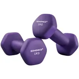 SONGMICS Kurzhanteln Set 2 Stück 2x1 kg Hanteln Hexagon Kurzhanteln mit Neoprenüberzug für Krafttraining Fitness Zuhause (Aschviolett) SYL902P02
