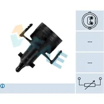 FAE Sensor, Ansauglufttemperatur