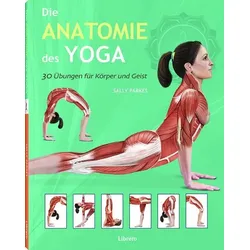 Die Anatomie des Yoga