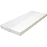 vidaXL 7 Zonen 80 x 200 x 10 cm H2/H3