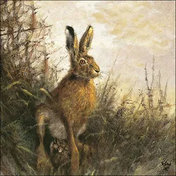Ambiente 20 Servietten Papier 33x33cm 3-lagig - hochwertige Einweg Papierservietten Naturmotiv Feldhase Frühlingsdeko Sommerdeko Tiermotiv Tischdeko Wildtiere