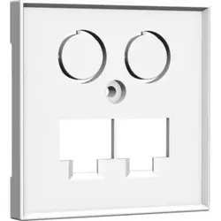 Homeway Zentralplatte 55x55mm rws TV+LAN/LAN 55x55