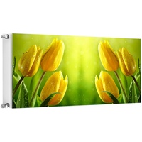 Tmk Magnet Heizkörperabdeckung, Heizkörperverkleidung 60x60 cm, Vanille