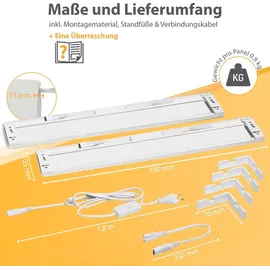 NORTHPOINT Schimmelentferner 2 St.