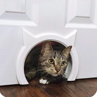 The Kitty Pass Katzentür für Katzen mit einem Fassungsvermögen von bis zu 7 kg