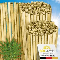 Sol Royal SolVision B99 Sichtschutz Bambus Hell 150 x 250 cm