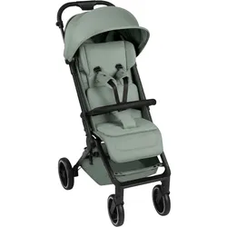 ABC Design Buggy Ping 3 Trekking, gruen