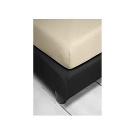 IRISETTE Spannbettlaken Jersey 180-200 x 200 cm beige