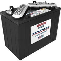 Trojan Pacer P-1275 12V 145Ah Deep Cycle Traktionsbatterie ELPT-Anschluss