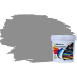RyFo Colors Silikonharz Fassadenfarbe Lotuseffekt Trend Arktisgrau 1l - bunte Fassadenfarbe, weitere Grau Farbtöne und Größen erhältlich, Deckkraft Klasse 1