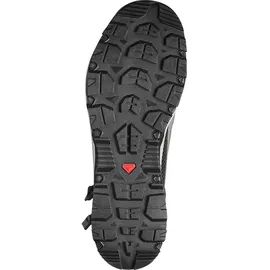 Salomon Techamphibian 5 Wanderschuhe - Castlerock / Willow / Black - EU 42