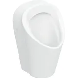 Geberit Renova M Urinal, Zulauf von hinten, Abgang hinten und
