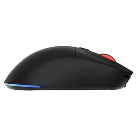 GENESIS Zircon XIII Custom schwarz