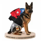 NATURE PET Premium Läufigkeitshose für Hündinnen – Hochwertige & Bequeme Hundewindeln für Hündinnen & Rüden – Waschbare Inkontinenz-Hundewindel ohne Einfädeln der Rute – L/Grau
