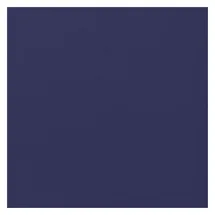 vidaXL Wassertank 250 l blau