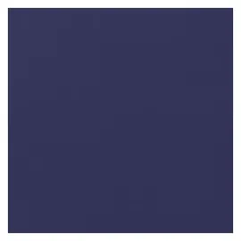 vidaXL Wassertank 250 l blau
