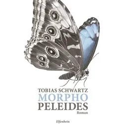 Morpho peleides