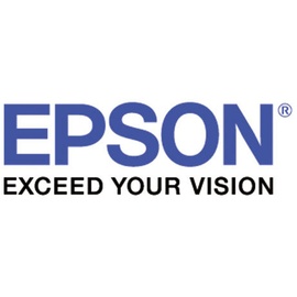 Epson T636A00 orange (C13T636A00)