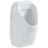 Geberit Alivio Zulauf hinten, Spülrand Ablaufsieb Weiß