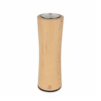 Peugeot Elis Reverse Holz