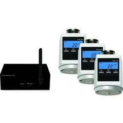 blossom-ic Avalon Tres Set mit hydr. Abgleich