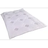 SANDERS KAUFFMANN Sanders-Kauffmann ClimaBalance Microfaserdecke Dacron 95, Medium,