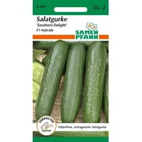Samen Pfann Salatgurke Southern Delight F1