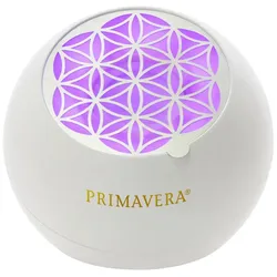 Aroma Ventilator Flower