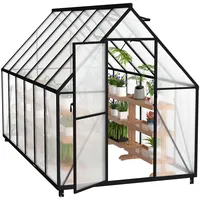 Froadp Gewächshaus aus Aluminium mit Fundament 340x180x195cm Gartengewächshäuser 4mm PC-Hohlkammerplatten Wetterfest Treibhaus, Tomatenhaus mit Fenstern Treibhaus für Garten & Aufzucht