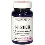 Hecht Pharma L-HISTIDIN 500 mg GPH Kapseln