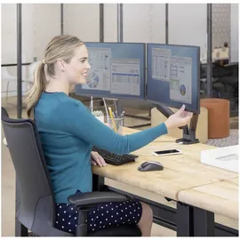 Fellowes Platinum Series Doppel Monitorarm schwarz